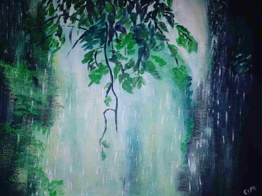Rainforest Waterfall Landscape